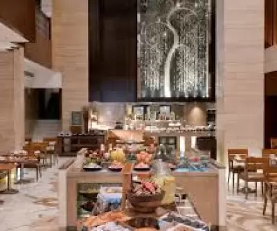 CIIIH Delhi Hyatt Hotels Cafe