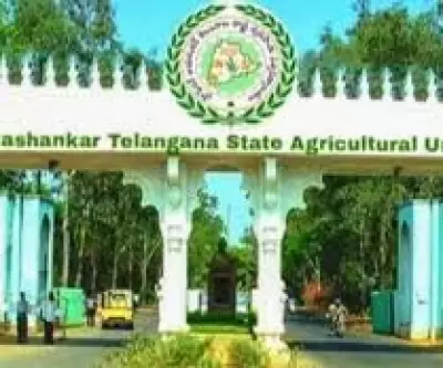 Professor Jayashankar Telangana Agricultural University PJSAU